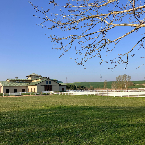 Komşum Arsama El Attı, Ne Yapabilirim? El Atmanın Önlenmesi (Müdahalenin Men-i) Davası